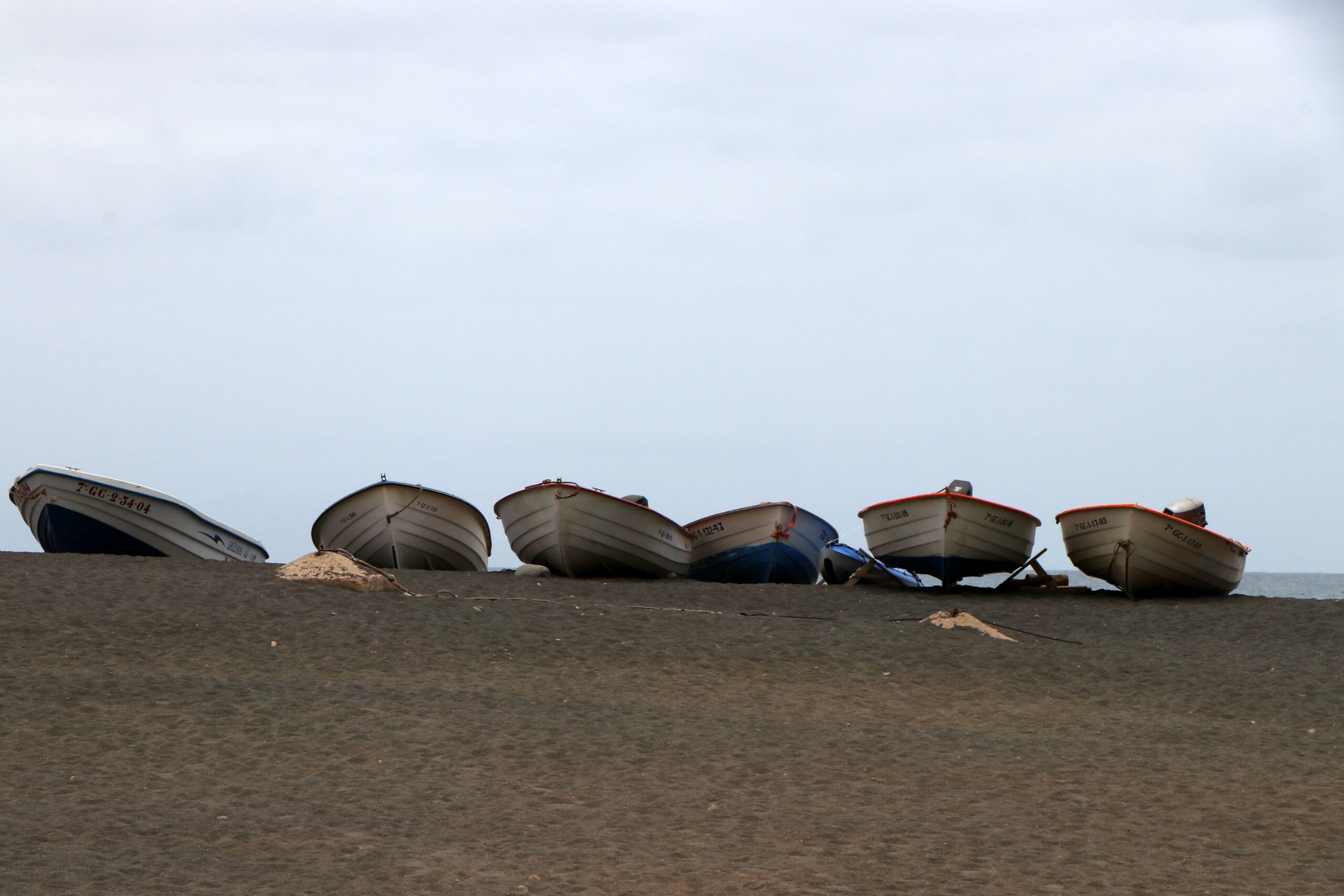IMG_8896