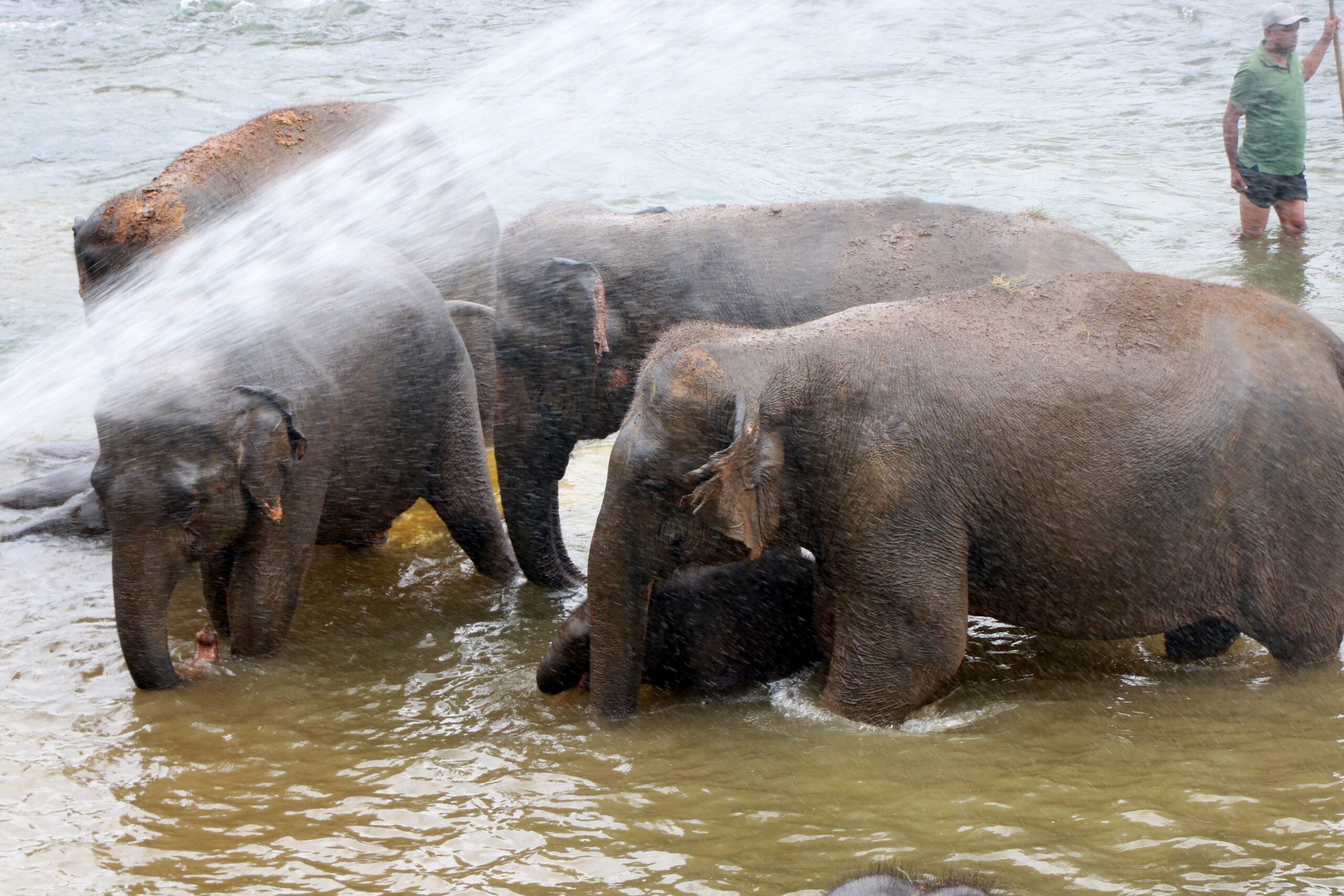IMG_1744
