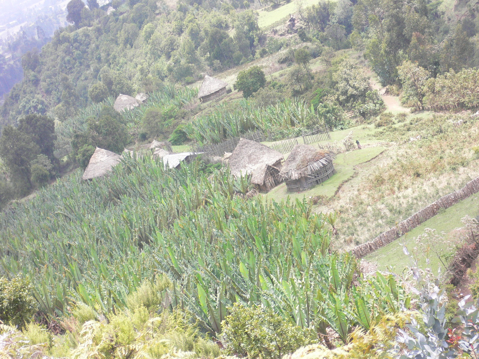 P1000508