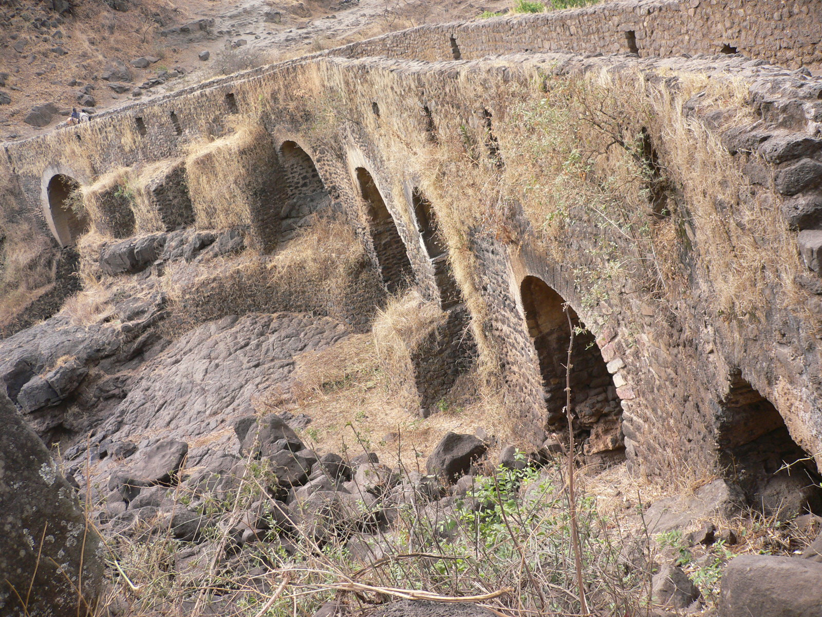 P1000676