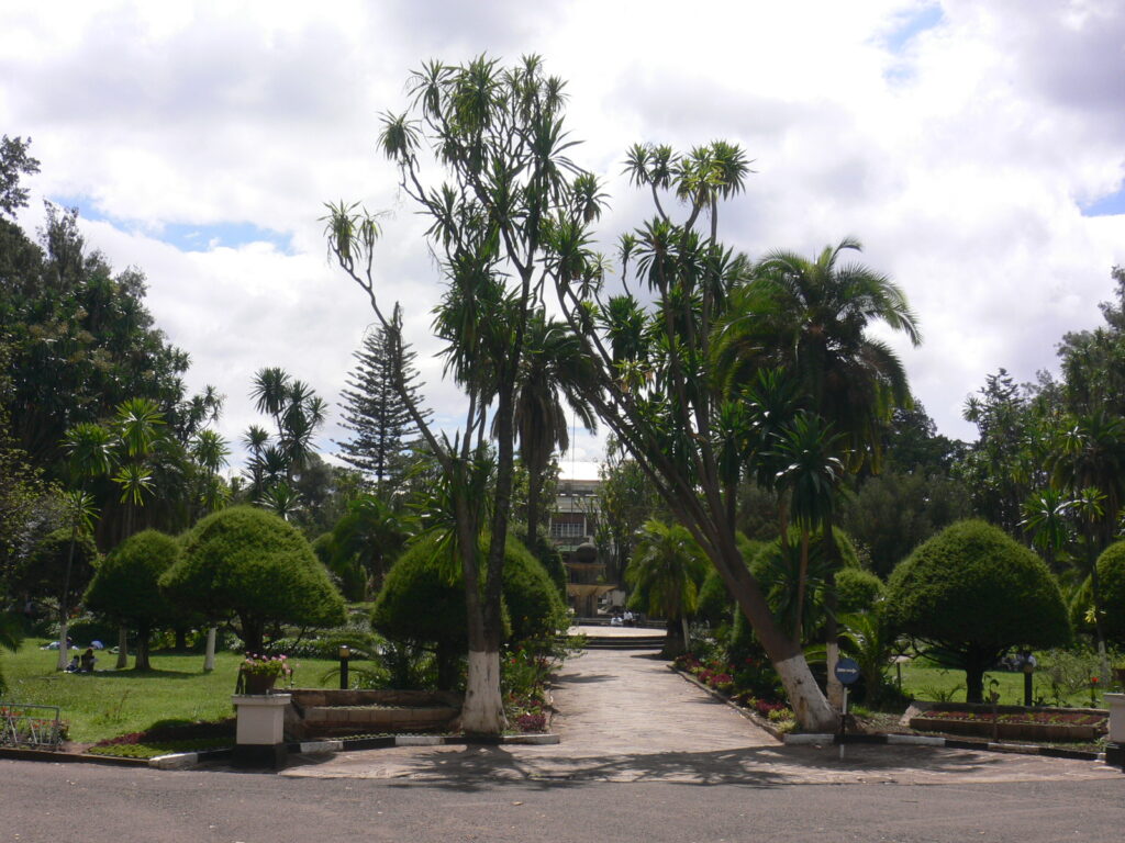 P1000868